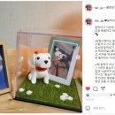 기억할개 이미지