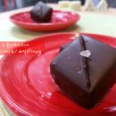 로즈(Rose) 이미지