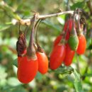 열매약국 이미지