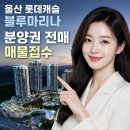 롯데캐슬블루공인중개사사무소 네이버블로그