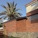 브로콜리삼춘 이미지