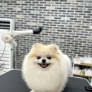 까까댕이 이미지