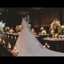 W. 본식 DVD 정하기 : 씨네마필름(4K) 선택 후기