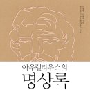 삶과 죽음에 대한 위대한 통찰:아우렐리우스의 명상록 [소울메이트 출판사][리더십,소울,치유,자기관리,자기경영] 이미지