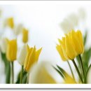 행복을 만드는 사람들 이미지