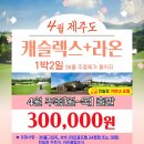 라온여행사 - 안성시 공도로 74 | 라온여행사
