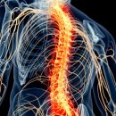 씨티재활의학과요양병원 이미지