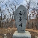 2024-주215 이미지