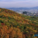 남산 이미지