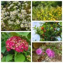 부암마을회관 | 진해 가볼만한곳 마천동 &#34;용추폭포·용추계곡&#34; 답사