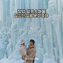 큰가내영농조합법인 | 청양 알프스마을 칠갑산 얼음 분수 축제 아이랑 주말이용 후기