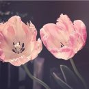 만수6동-4 이미지