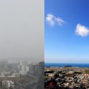 미소육화 이미지