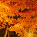 양재(야간) 이미지