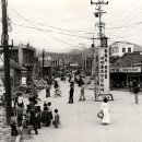 신광사진관 - 상주시 함창중앙로 116-1 | 신광사진관