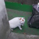 장수케어 이미지