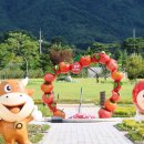 장수대곡관광지 이미지