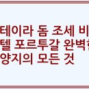 에이로스포츠 | 쿼테이라 돔 조세 비치 호텔 포르투갈 완벽한 휴양지의 모든 것