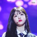 동반인