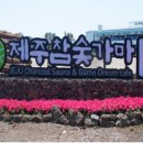 제주참숯가마찜질방 | 2025년 제주도 온천 찜질방: 제주 참숯가마 찜질방