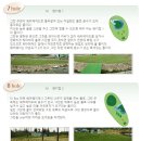 그린파크골프랜드 이미지