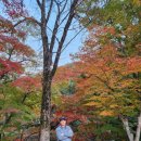 장성사랑공인중개사사무소 이미지