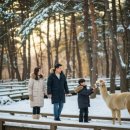 북부시장윗길 | 12월 강원도 여행 추천! 겨울 설경으로 꽉 찬 강원도 명소 Top 5