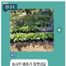 진욱농장 Daum카페
