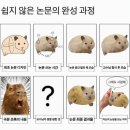 애니손세차 | 2026년 시작 : 백수가 적성