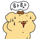 에버민박 이미지