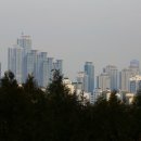 지양산 해맞이마을 이미지