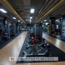 G00097 Daum카페