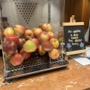 호텔벅스(HOTEL BUCKS) | 내돈내산 스위스 루체른 역세권 숙소 호텔 가격 후기ㅣ모노폴 루체른 맥도날드 스타벅스