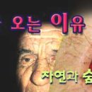 노화방지를 위한 방법들 - 세포분열 가속법 이미지