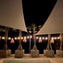 코스타리몬 이미지