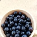 달달스토어 | 탱글탱클 달달한 홍토끼스토어 블루베리 후기