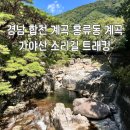 해인사터미널주차장화장실 | 대구 근교 합천 홍류동계곡 물놀이, 해인사 가야산소리길 트래킹 상세 후기