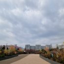 등나무근린공원 이미지