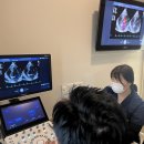 24시 올리몰스 동물메디컬센터 이미지