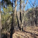 호미식당 이미지