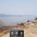 할미꽃이 반겨주는 상주산 이미지