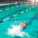 타일 있는 수영장에서는 어른들은 파란색 수영복 입어도 안전~! 이미지