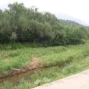 복돼지부동산공인중개사사무소 이미지