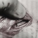 죽전동물병원 이미지