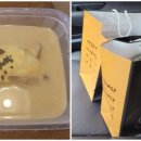 팔팔삼계탕 이미지