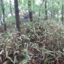 거석회관 이미지