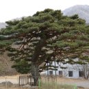 남설악모텔 이미지