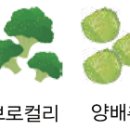 티나하우스 이미지