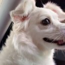 리오동물병원 이미지