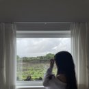 여전히 제주 | [제주도 숙소 후기][제주도 숙소 추천] '여전히 제주'